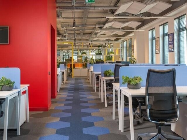 进口原装纯牛奶生产厂家